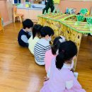 두두농장 이미지