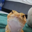 규리테일