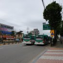 수원-1775 이미지