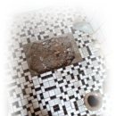 2층하늘약국 이미지