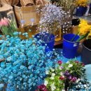 예원화원&예원 이미지