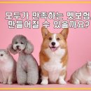 모두의만족 이미지