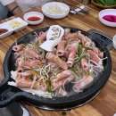 백조품은오리 이미지
