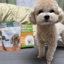 인바이오메드 이미지