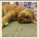 한솔동우체국 이미지