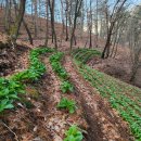 완전농장 이미지