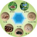 2024년 5월 신제품, 광동 하이키를 소개합니다. 이미지