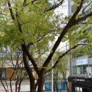 망포쌍용2차(아) | [식사가되는 술집 양심 수원망포역점] 데이트/단체로 방문하기 좋은 야장 망포역 술집 솔직 후기