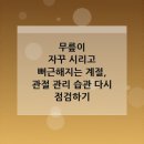 참포도나무병원 | 무릎이 자꾸 시리고 뻐근해지는 계절, 관절 관리 습관 다시 점검하기