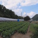 제2동근린생활시설 이미지