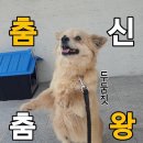 양지실외