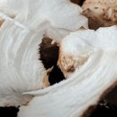 번덕농장 네이버블로그