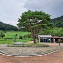 운곡생태습지길 2코스 티스토리