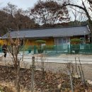목상동 솔밭길 이미지