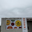 양파살롱 이미지