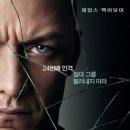 23 이미지