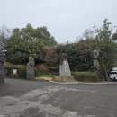 [서귀포 가볼만한 곳] 휴애리 자연생활공원 제주도 2월 여행 유채꽃&amp;동백꽃 축제 서귀포 사진 명소 후기