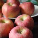 두식농원 이미지