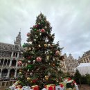 브뤼셀 | 브뤼셀 2025 크리스마스 마켓 후기 - 위치 운영시간 꿀팁 총정리