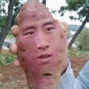 구구마
