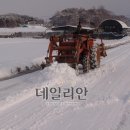 군탄 2리 데일리안