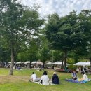 안성맞춤랜드 이미지