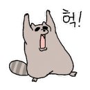 대한민국멀티방 이미지