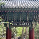 얼시마시원조양평해장국 | 출렁다리 / 사랑굿 숯불달갈비 / 가평운악산 포도 / 얼시마시 원조 양평해장국 본점 #가평가볼만한곳