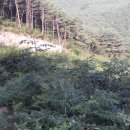 수종농장 이미지