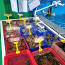 안면도수산 | 안면도횟집 무한수산 가성비 회포장 리얼 후기