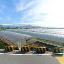 사리현농장 이미지