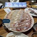 모살물 - 제주시 삼무로3길 14 | 제주공항 제주 연동 횟집 추천 가성비횟집 제주도민 맛집 모살물 본점 내돈내산 후기