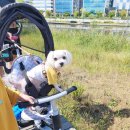 24시 안박동물병원 이미지