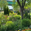 경로공원 공중화장실 | 추천 | 성동구 응봉역 용비 쉼터 정원 튤립 방문 후기(2026.04.25일자) | 가기 전 이것만은 꼭 확인하세요!