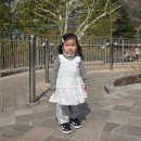 27개월 여자아기 봄 신상코디 무무즈 '린도' 첫 구매 후기