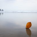 바다여행 이미지