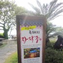 시에스코 네이버블로그
