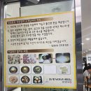 덕천왕갈비탕 | 부산 덕천 맛집 함경면옥 덕천점 비빔냉면 + 회무침 조합 찐 후기