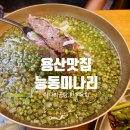 전원미술관 | 능동미나리 본점 | 용산 미술관 데이트 후 찾은 미슐랭 맛집 솔직 후기 🌿