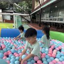 꽃향 Daum카페