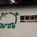청정생돈 이미지