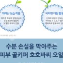 스킨홀릭 이미지