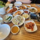 반뉴 | 25년 7월 이모저모 일기