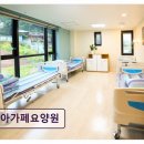 <성남 요양원 추천> 아가페요양원 가족 같은 보살핌이 인상적이다
