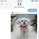 미쓰박 펫 살롱 이미지