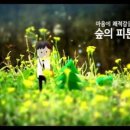 허쉬위쉬 이미지