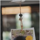 바우하우스 스튜디오 이미지