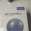 아이워너 | 쿠팡에서 산 아이워너 다이어트 짐볼 55사이즈 후기