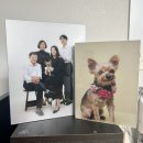 23년의 2월 (1)