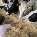 동창목장 이미지